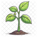 Planta Naturaleza Hoja Icono