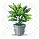 Planta Naturaleza Hoja Icono