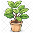 Planta Naturaleza Hoja Icono