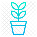 Planta  Icono