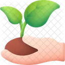 Planta Naturaleza Hoja Icono