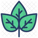 Planta Ecologia Plantas Icon