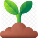 Planta Icono