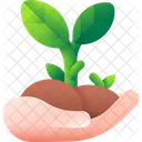 Planta Naturaleza Hoja Icono