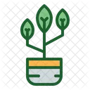 Planta  Icono