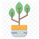 Planta  Icono