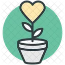 Planta Corazon Flores Icon