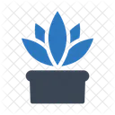 Planta Naturaleza Verde Icono
