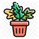 Plantar Ícone