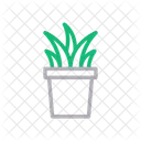 Planta  Icono