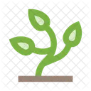 Planta Hierba Arbusto Icon