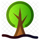 Planta Ecologia Arvore Ícone