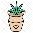 Planta Naturaleza Verde Icon