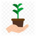 Planta Hoja Ecologia Icono