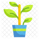 Planta  Icono