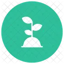 Planta  Icono