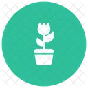 Planta  Icono