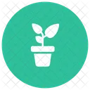 Planta  Icono