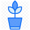 Plantar  Icon