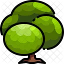 Planta Arbol Verde Icon