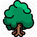 Planta Arbol Verde Icon