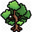 Planta Arbol Verde Icon