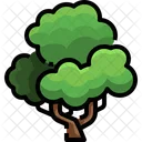 Planta Arbol Verde Icon