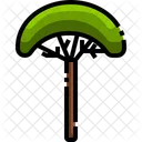 Planta Arbol Verde Icon