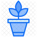 Planta Maceta Flor Icon