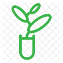 Planta  Icono