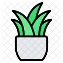 Plantar  Icon