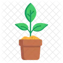 Planta  Icono