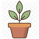 Planta  Icono