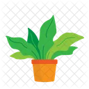 Planta  Icon