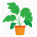 Planta  Icon