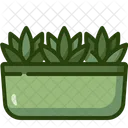 Planta  Icon