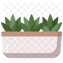Planta  Icono
