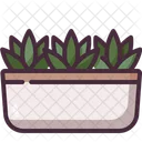 Planta  Icono