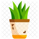 Planta  Icono