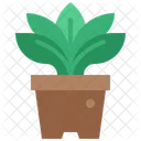 Planta En Maceta Pot Icon