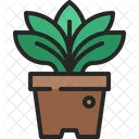 Planta En Maceta Pot Icon