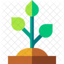 Planta  Icono