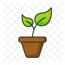 Planta  Icono