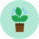 Planta  Icon