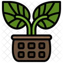 Planta  Icon