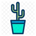 Cactus Cactus Planta De Cactus Icono