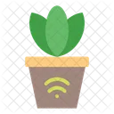 Planta  Icono