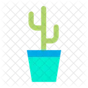 Cactus Cactus Planta De Cactus Icono