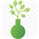 Planta  Icono