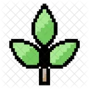 Planta Icono